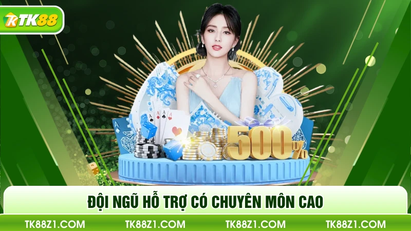 Đội ngũ hỗ trợ có chuyên môn cao