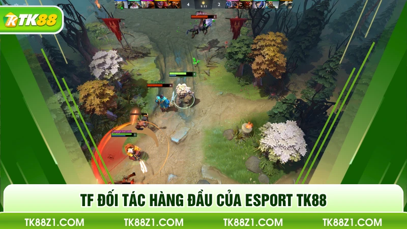 TF đối tác hàng đầu của Esport TK88