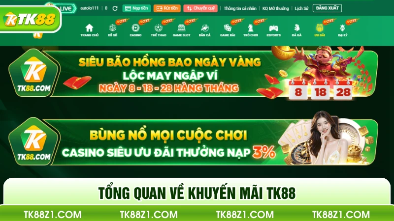 Tổng quan về khuyến mãi TK88